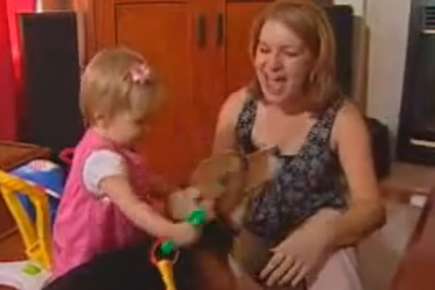 Image of a woman, her toddler daughter, and their dog.